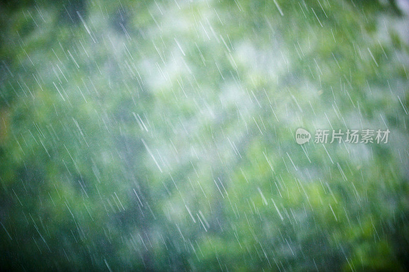 夏雨