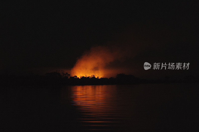 在赞比亚的一条河边，丛林在夜间开火