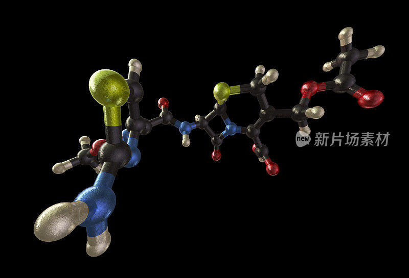 头孢噻肟模型