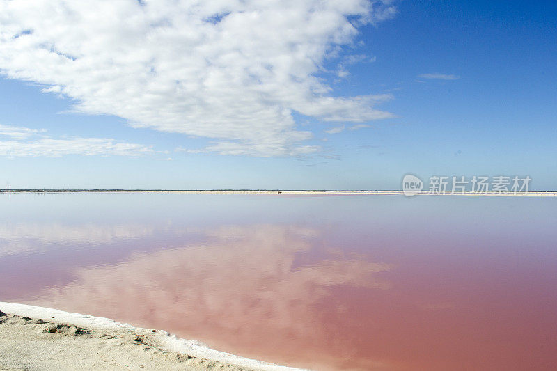 粉红色的泻湖