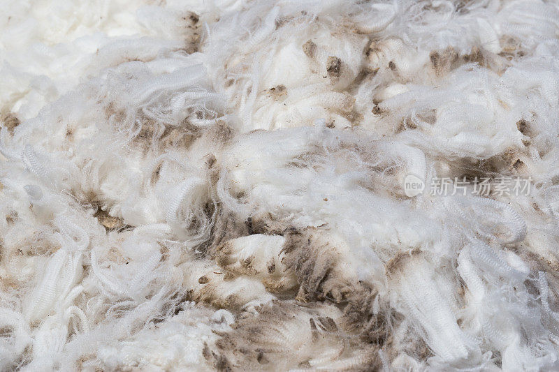 一袋羊毛开着，显示剪过毛的产品