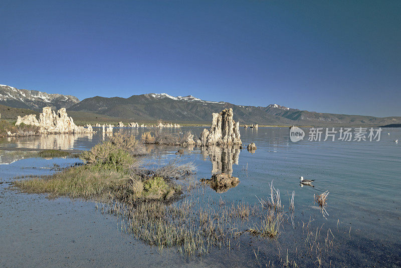 莫诺湖与凝灰岩山与雪和伟大的观点