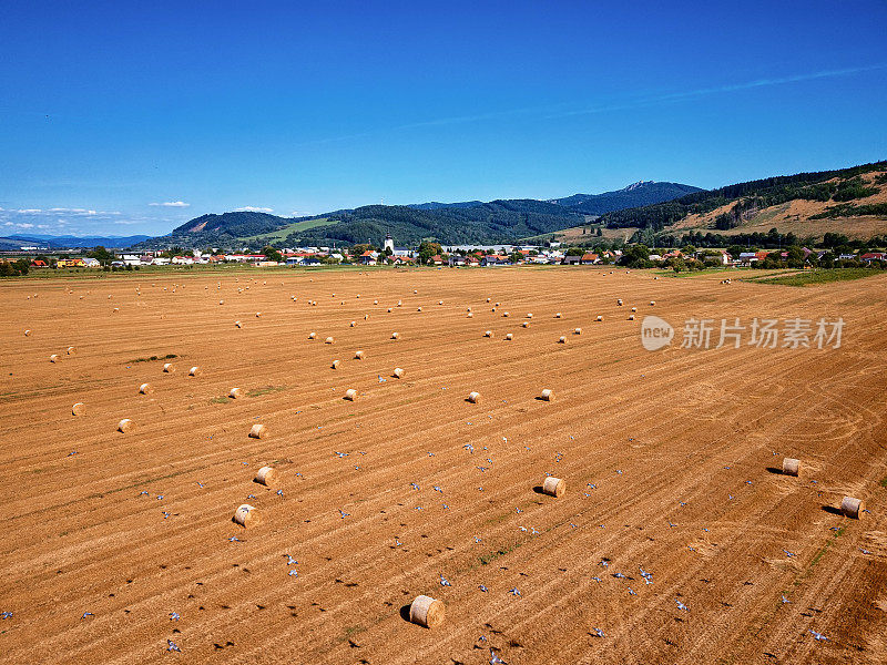 飞过田野和圆形的干草堆。风景如画的小村庄和山的背景，斯洛伐克。