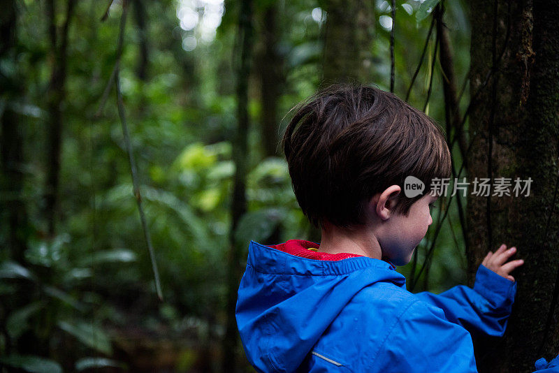 一个悲伤的孩子在热带雨林中触摸树