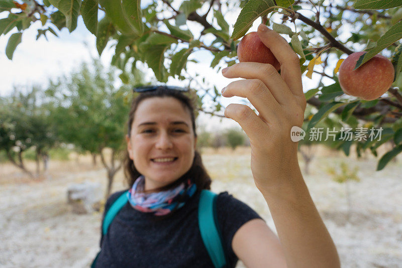 从树上摘苹果的女人
