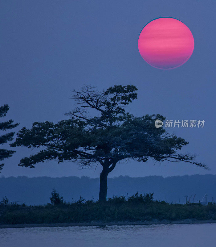 底特律角野火烟熏日落