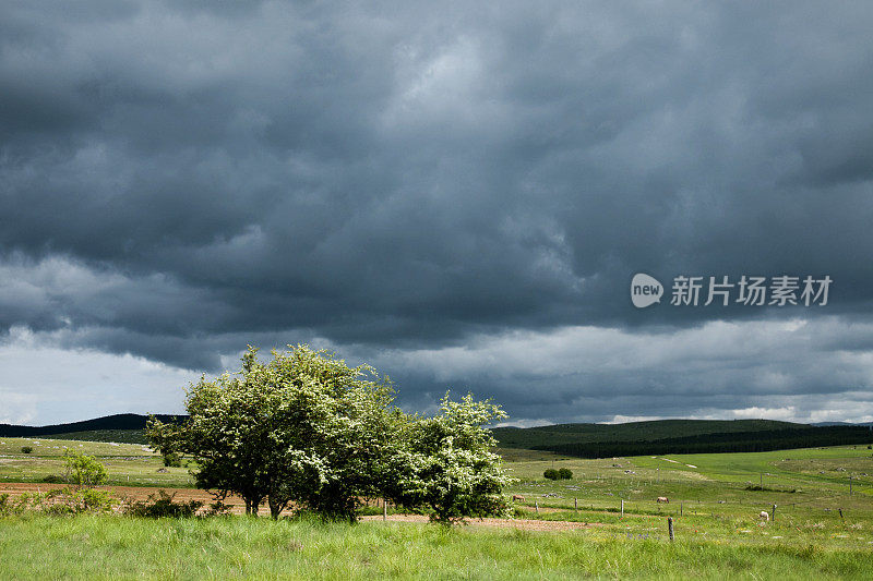 乡村的暴风雨天空