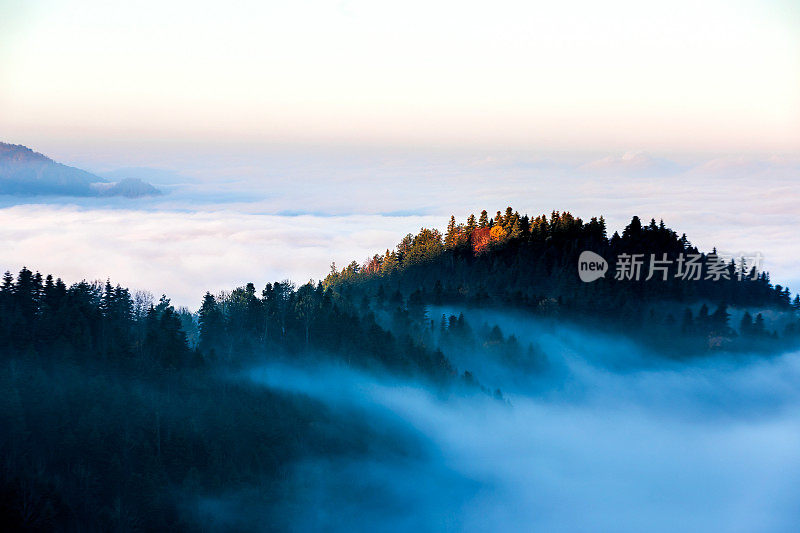 土耳其七湖的雾、树和秋天