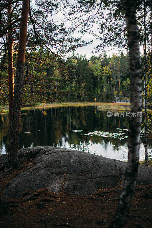 Nuuksio国家公园的秋季景观(芬兰，赫尔辛基)