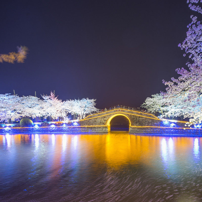 中国无锡古建筑湖夜