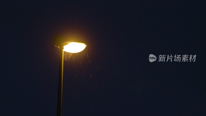 雨夜。孤独的路灯柱