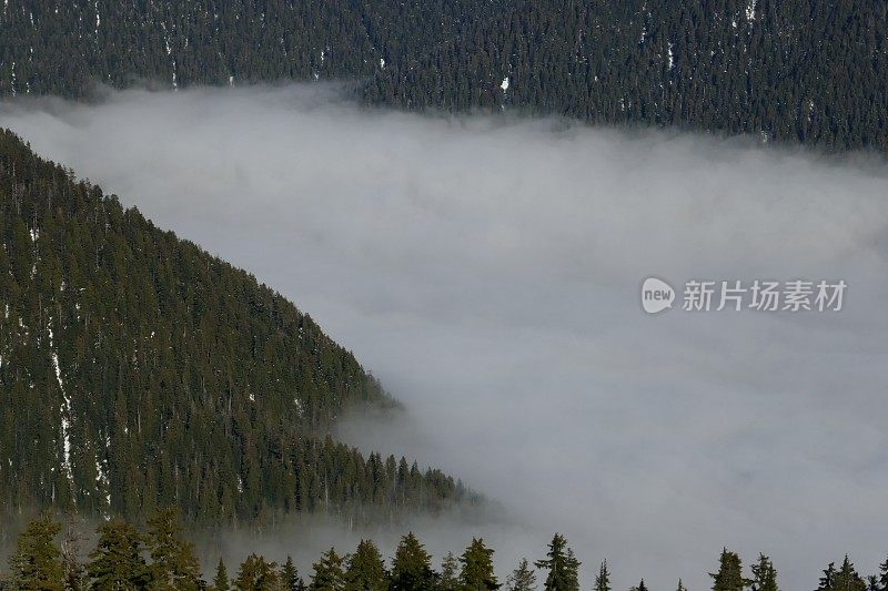 山谷上空的低云层