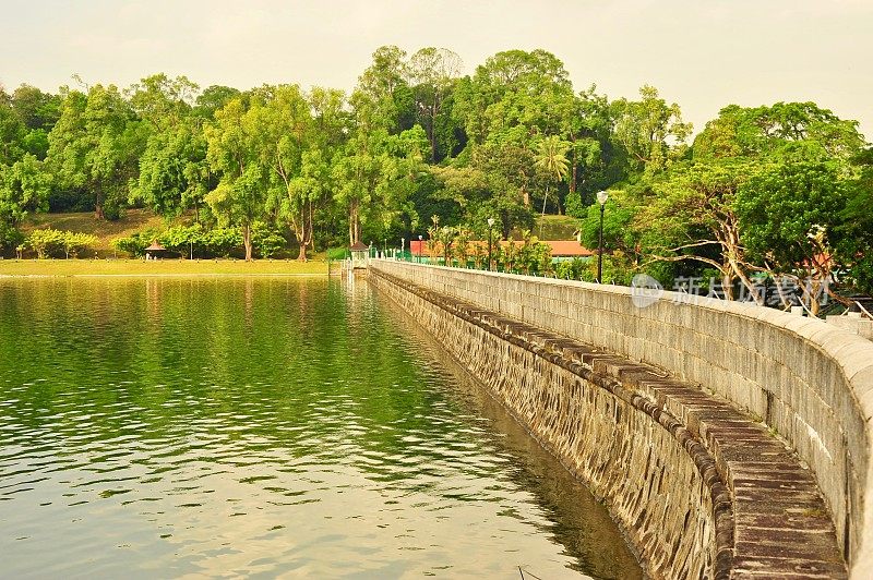 新加坡MacRitchie水库堤岸