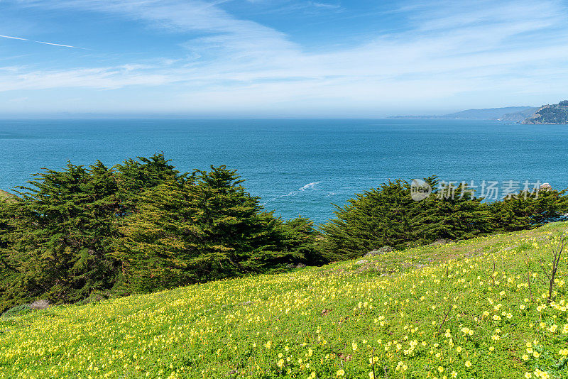 旧金山和加州海岸线