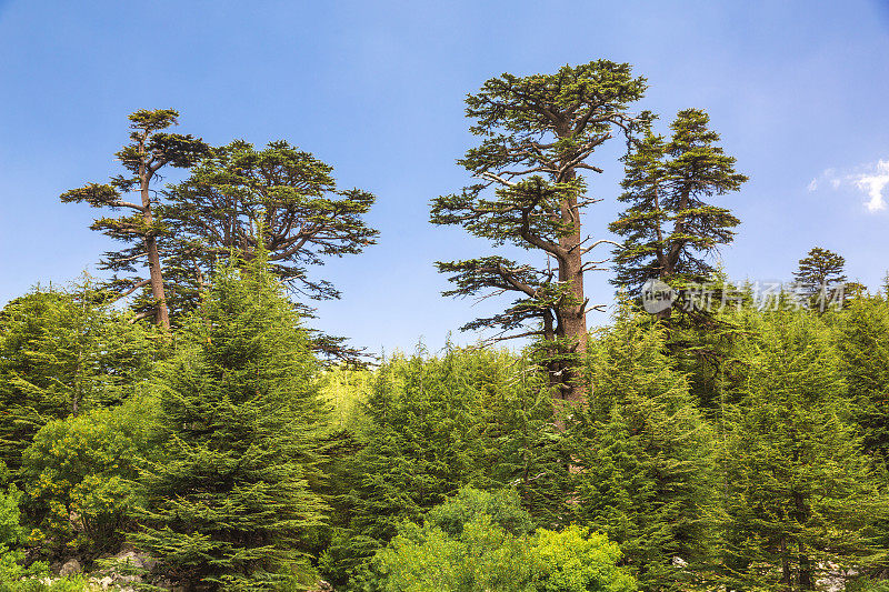 土耳其安塔利亚的黄昏山景