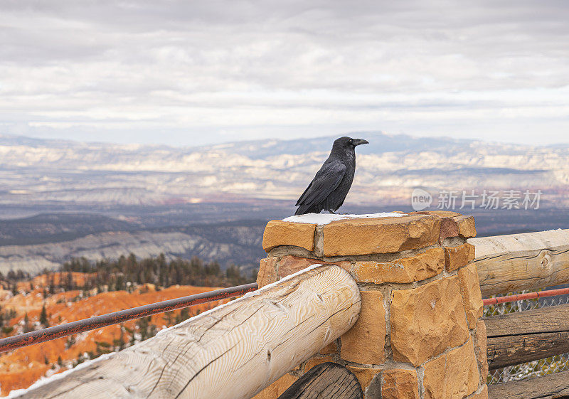 美国犹他州布莱斯峡谷国家公园彩虹点鸟瞰乌鸦。