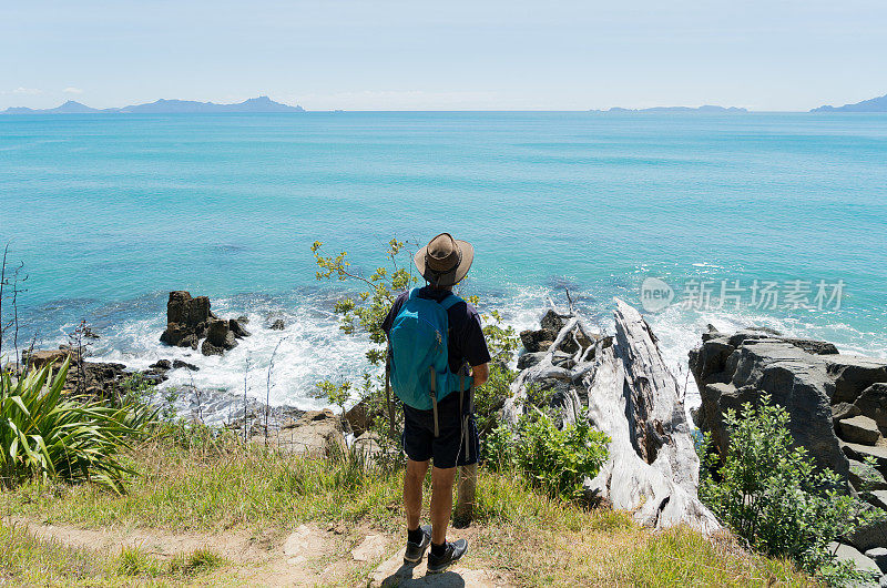 新西兰北国的休闲海滨步道