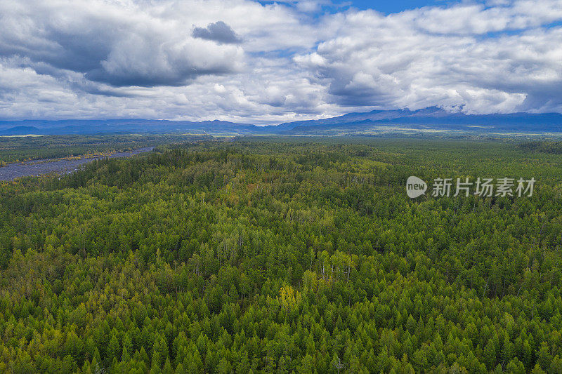 堪察加半岛的景观，森林和河流，俄罗斯