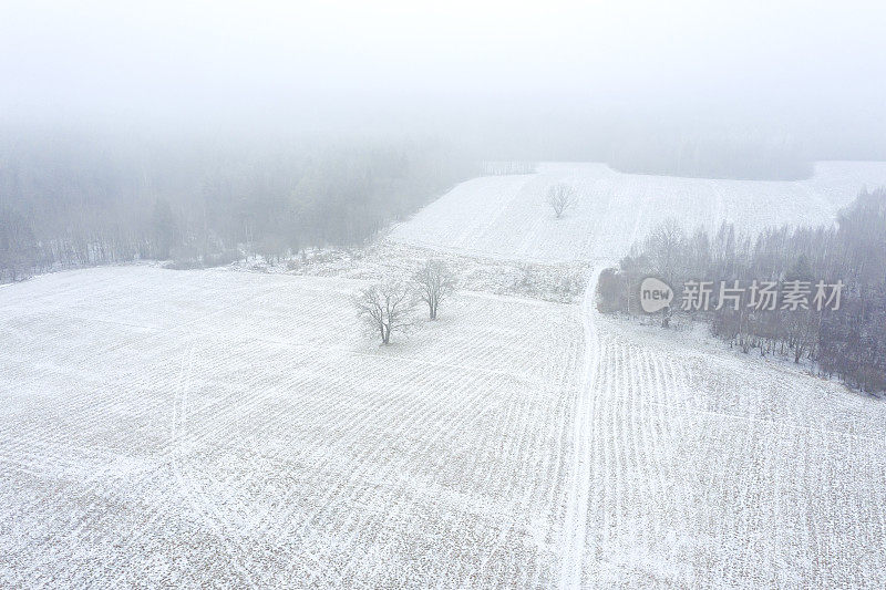 冬天的乡村景观与冰冻的田野在雾天。鸟瞰图