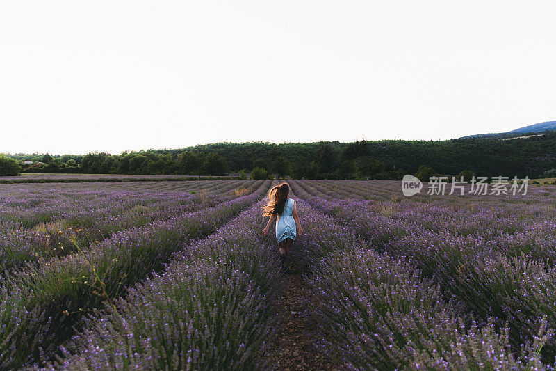 一名女子在法国美丽的薰衣草花丛中迎接夏日日落