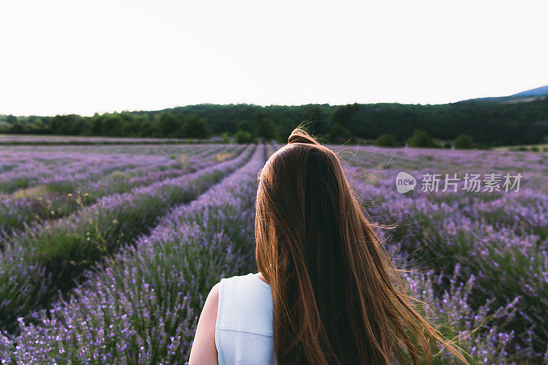 一名女子在法国美丽的薰衣草花丛中迎接夏日日落