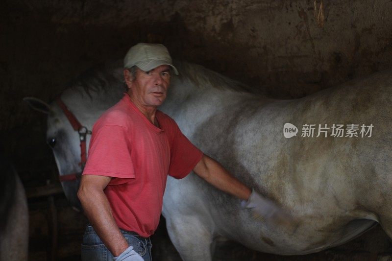 成熟的男人照顾干净的马