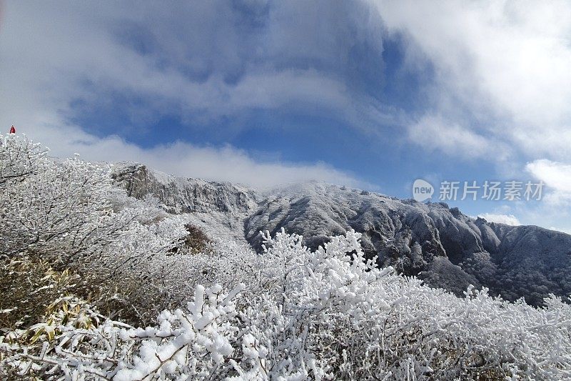 济州岛的第一场雪