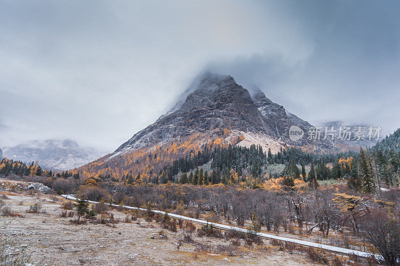 中国，西藏，四川，亚丁，香格里拉山，秋天的自然景观