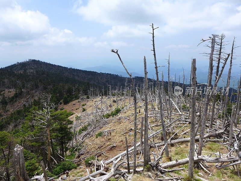 Hakkyogatake，日本100座名山