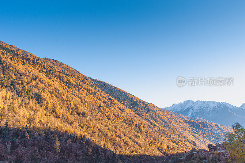 在九寨沟自然条件九寨沟国家公园，黄绿色的秋天风景雪山景观与森林纹理的森林。蓝天自然背景