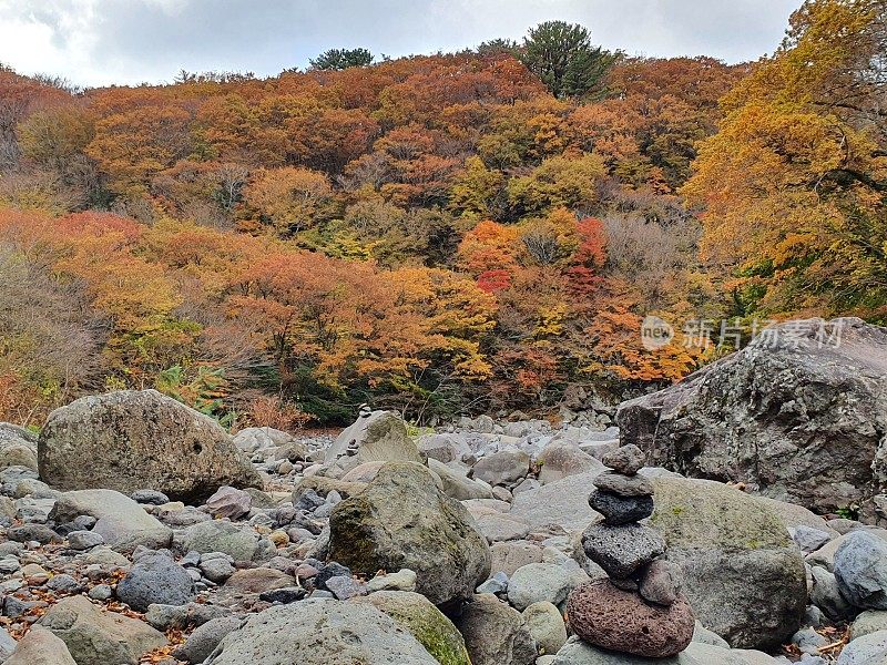 韩国济州岛的秋季景观