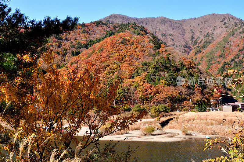 富士五湖秋叶色:正二湖