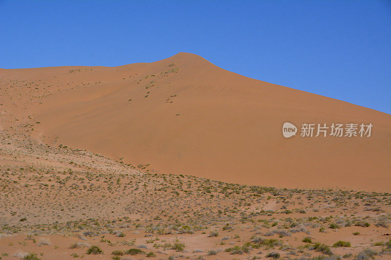 内蒙古巴丹吉林沙漠巨型沙丘