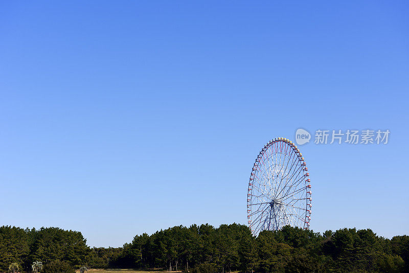 晴朗的天空下，游乐园里的大摩天轮。