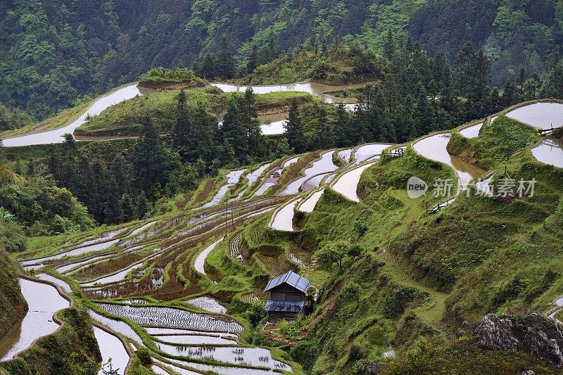 贵州,China-spectacular梯田