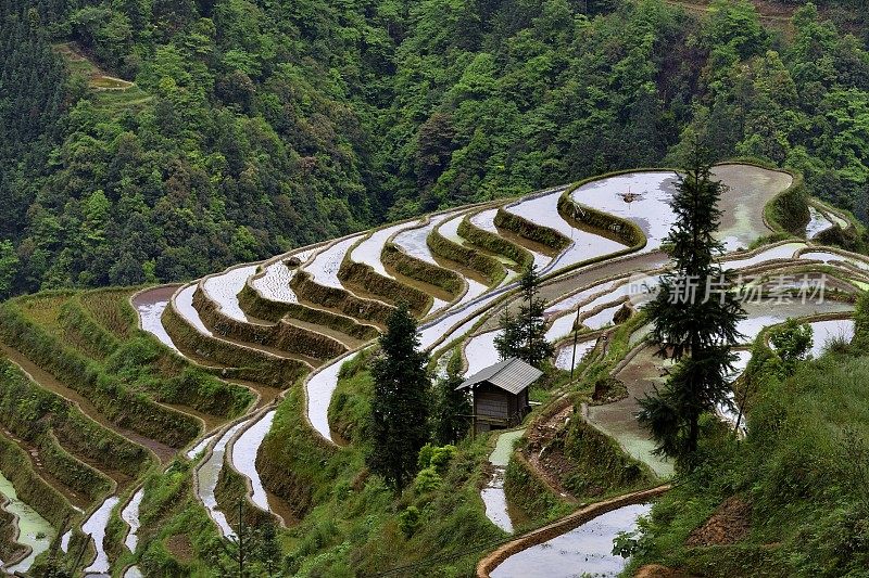 贵州,China-spectacular梯田