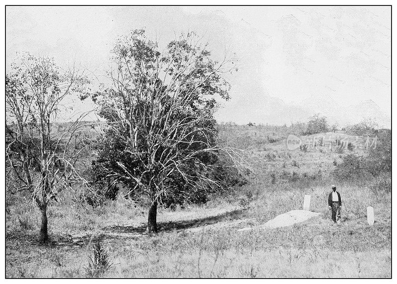 古黑白照片:古巴投降树无名士兵墓