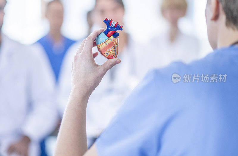 医科学生学习心脏的知识