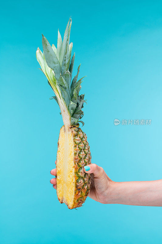 菠萝切成两半，女性的手拿着一个菠萝在明亮的蓝色背景。