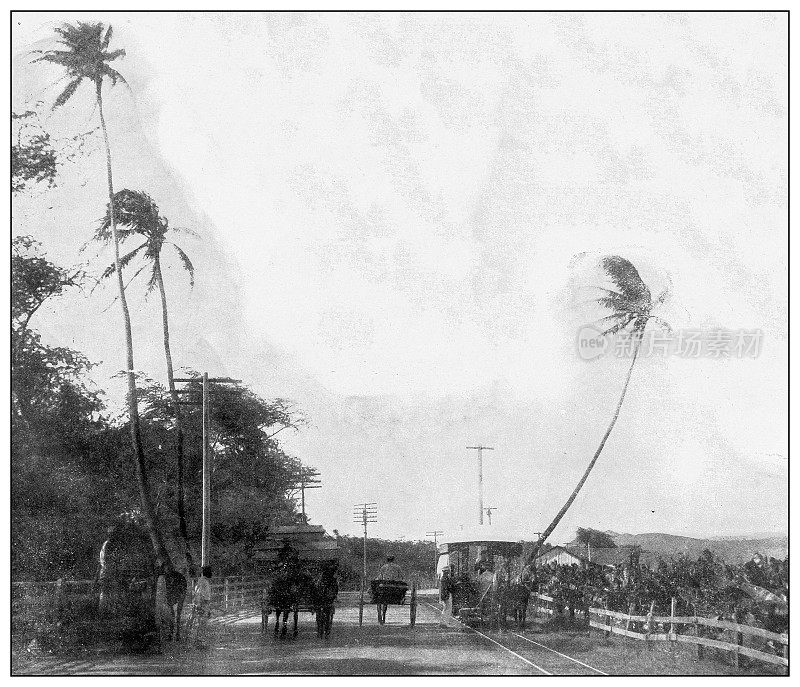 古董黑白照片:从檀香山到怀基基，夏威夷