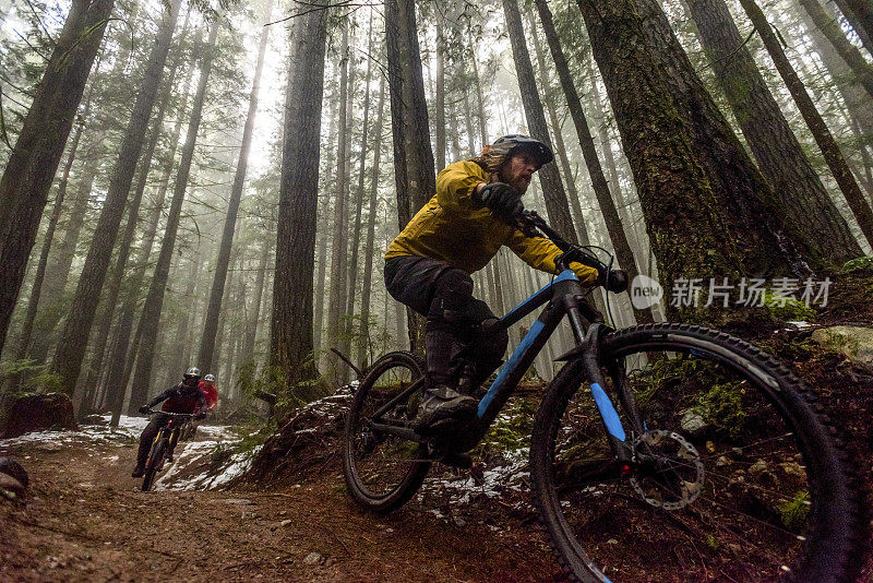 山地自行车手在雨林中飙车