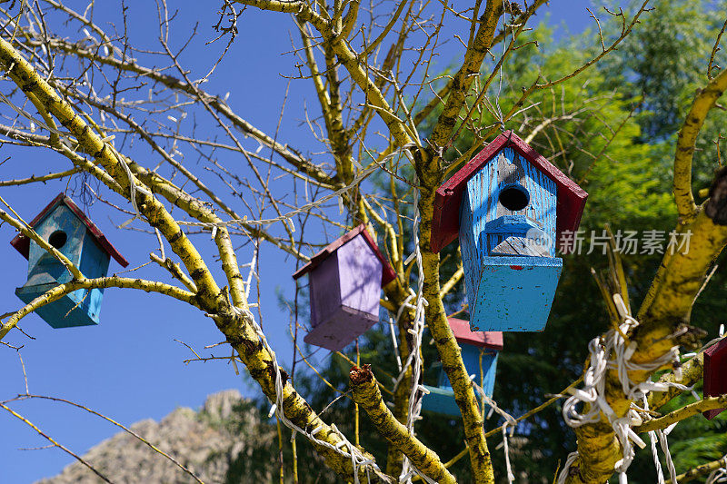 彩色木制鸟屋