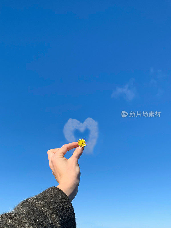 心型云在蓝色的天空与花