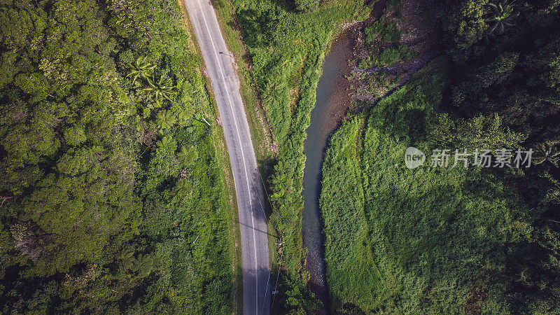 乡村公路和溪流，可伦宾山谷，黄金海岸，澳大利亚