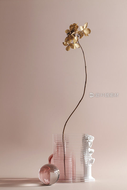 简单，自然，侘寂的概念。干花在花瓶的米色背景。时尚的彩色玻璃制品。