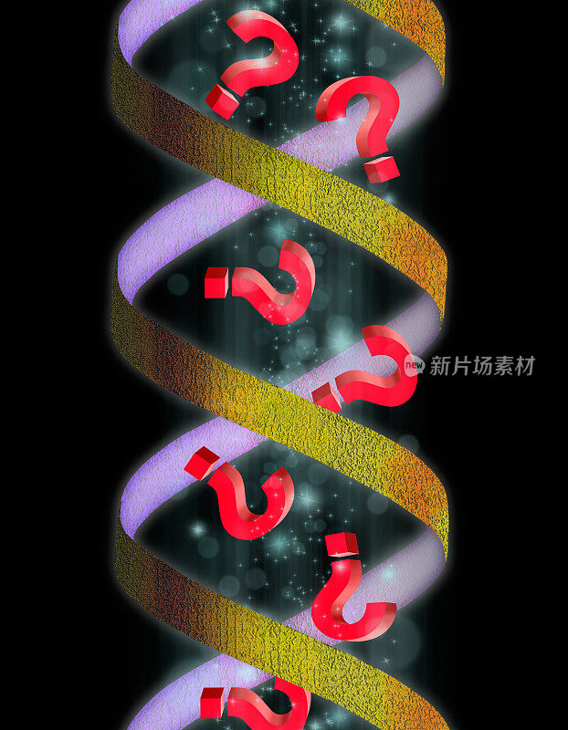概念上的DNA结构