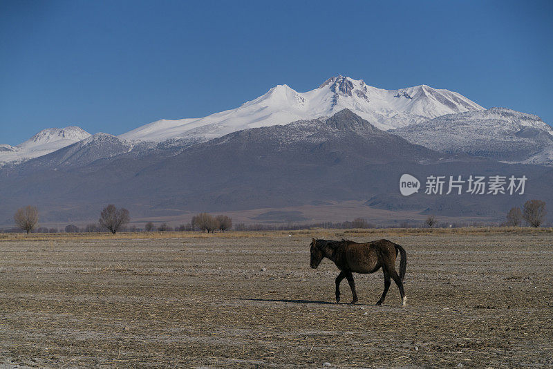 马和埃尔吉耶斯山景