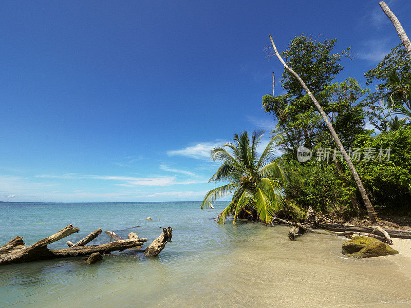 哥斯达黎加卡惠塔国家公园加勒比海沿岸的田园海滩