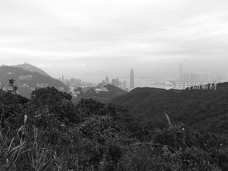 从卡梅伦山俯瞰香港市容