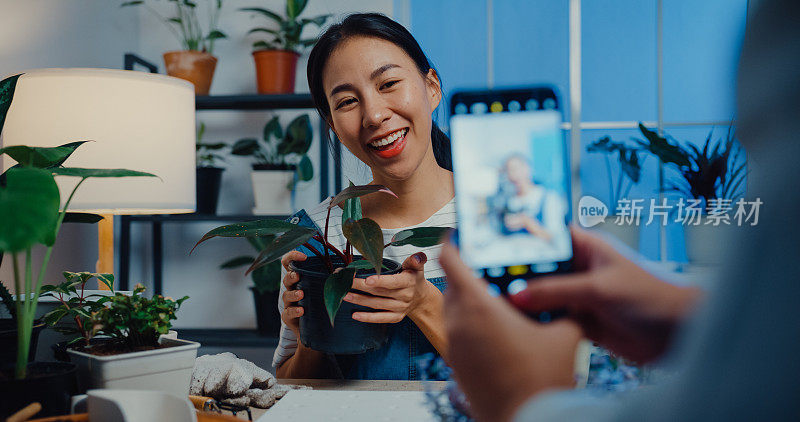 近距离的年轻亚洲女性使用手机在晚上在家里拍照植物。